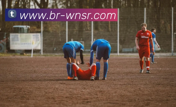 多媒体互动体验